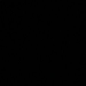 Meet your Posher, Karina